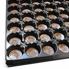 Bandeja Almaciguera con Discos Jiffy Peat Pellet