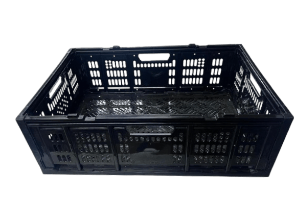 Caja Plegable