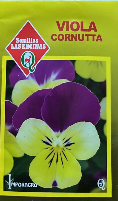 Semillas de Viola Cornuta q