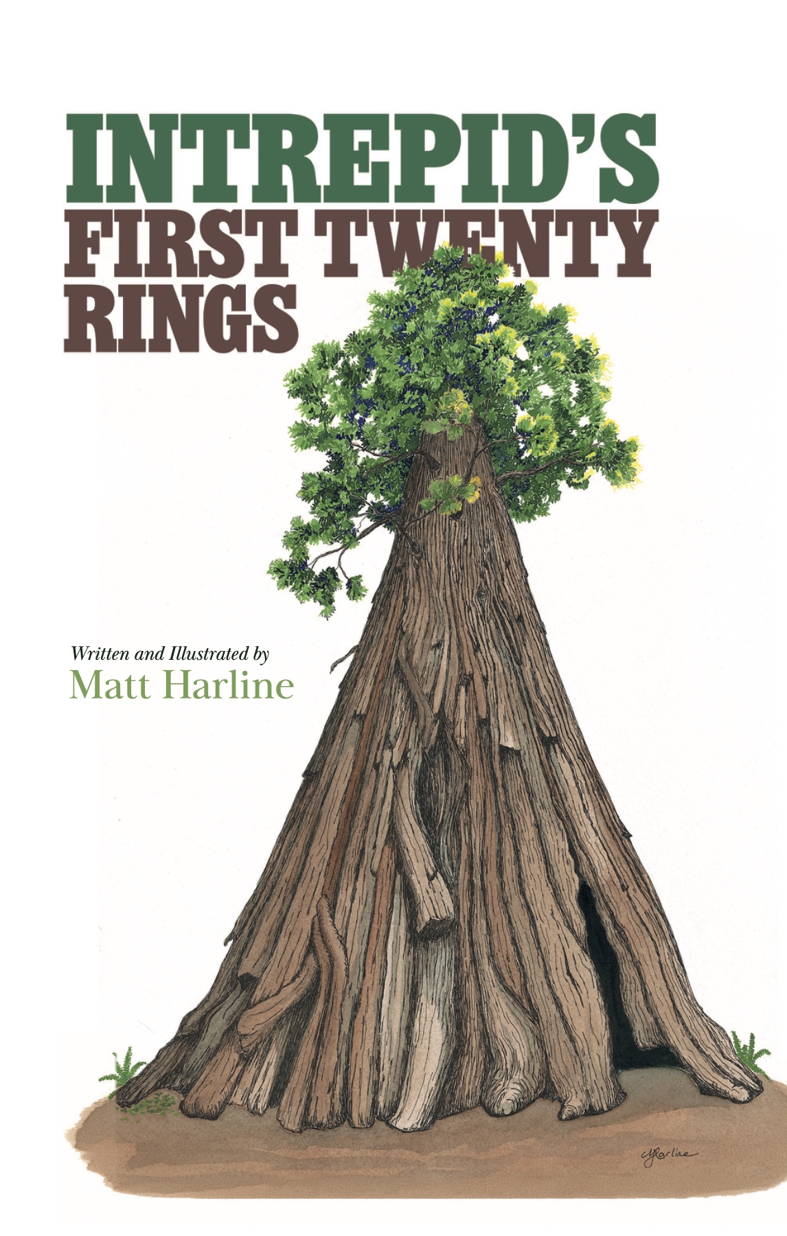 Intrepid's First Twenty Rings Cover