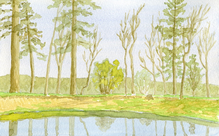 Image of a pond with oaks on its banks