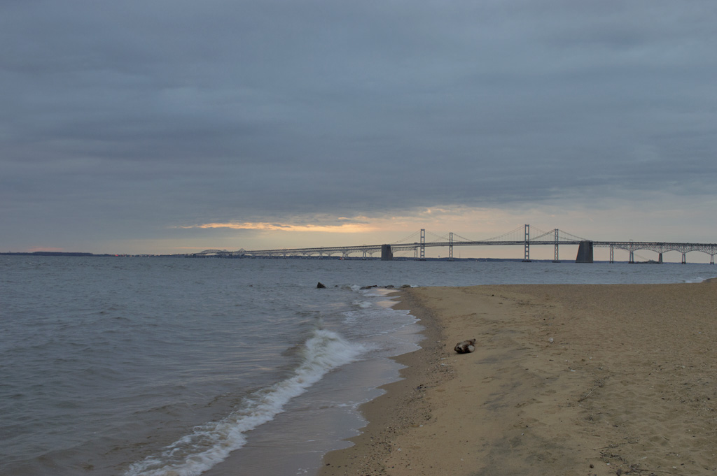 Sandy Point 22
