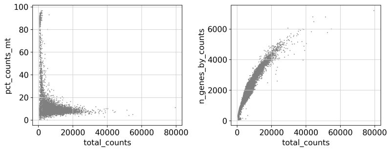 Preprocessing Scrna Seq Data With Scanpy Science In Motion - Best Gradient Images in Ultra HD