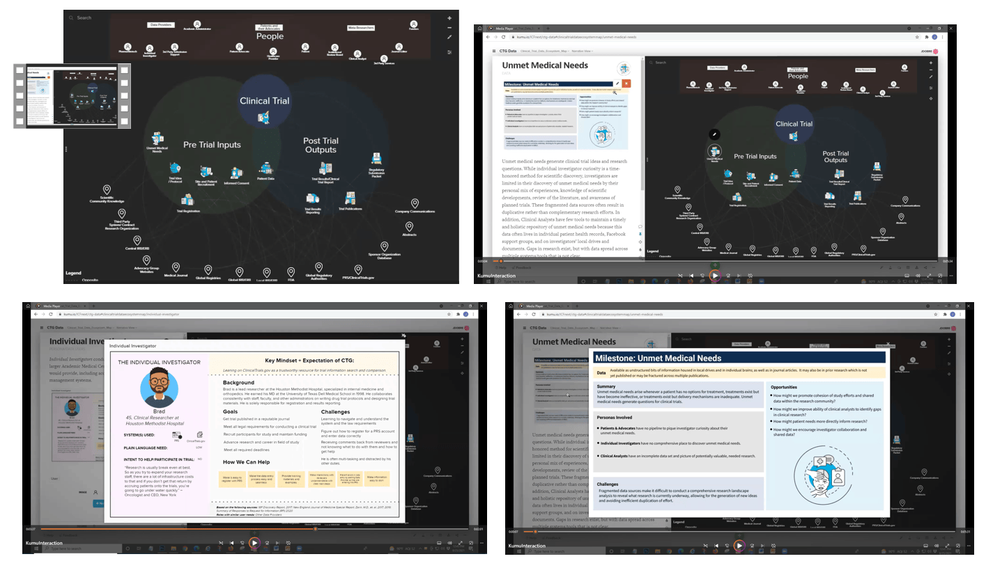 Screen shot of interactive Kumu
