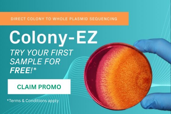 Finally, the Right Sequence – Week 8