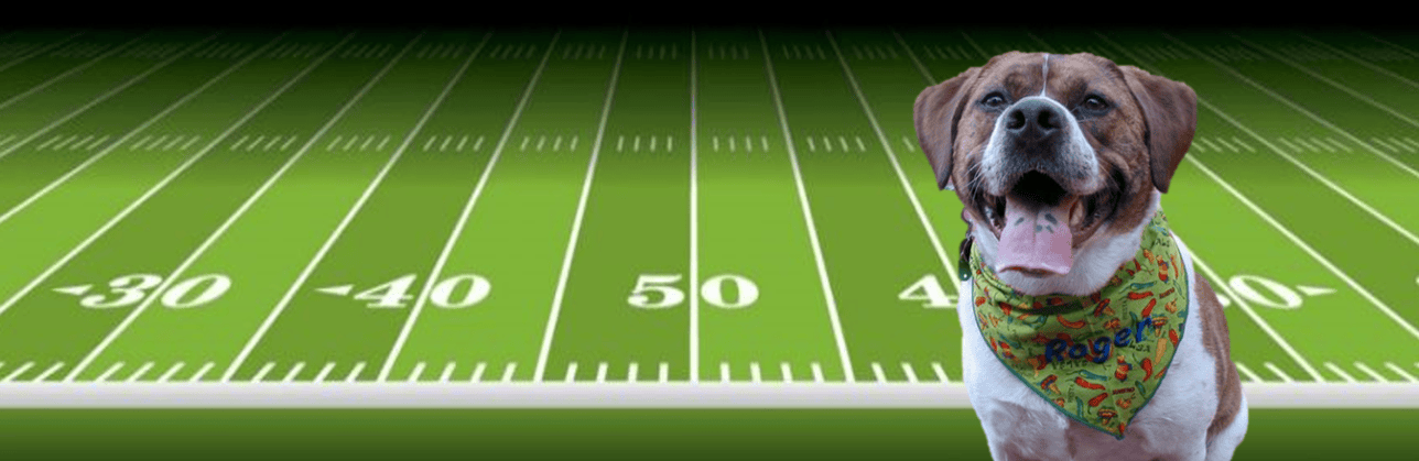TOUCHDOWN! 10 Ways to Score a More Powerful Voice for Animals