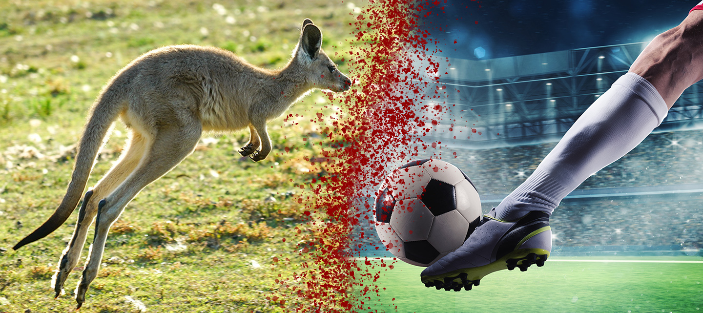 Is Kangaroo a Sport: Unveiling the Surprising Truth
