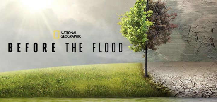 Before the Flood