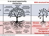 Structural Racism Graphic 1 Institute For Humane Education