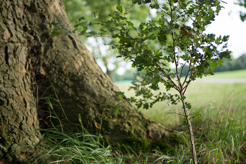 Help us legalise the right to die in the UK.