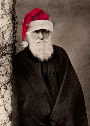 Festive Darwin Christmas Card