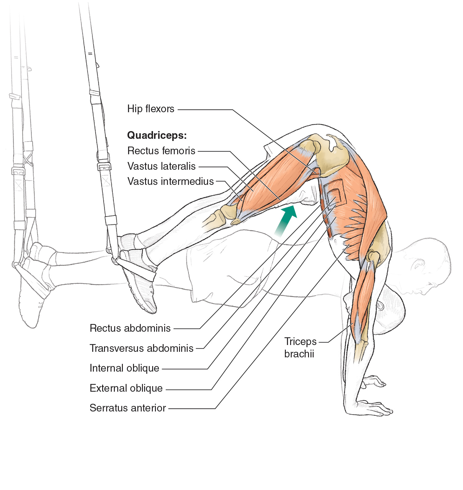 8 vital core exercises for cyclists to boost power and speed