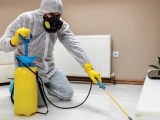 Termite Pest Control Oceanside Hume Termite