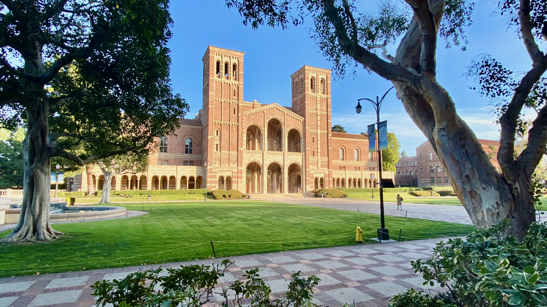 Ucla background images