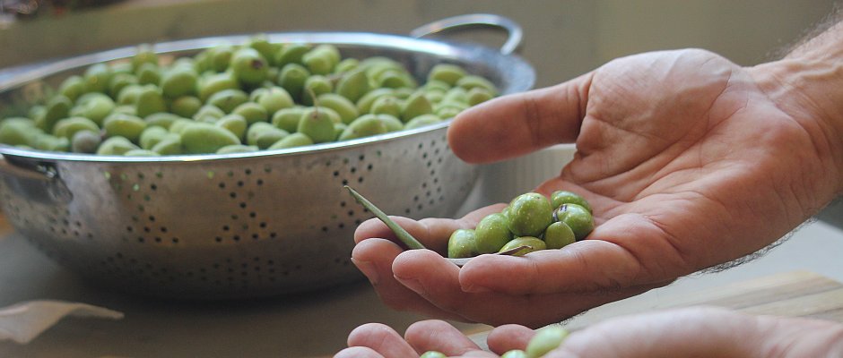 כיבוש זיתים, אילוסטרציה