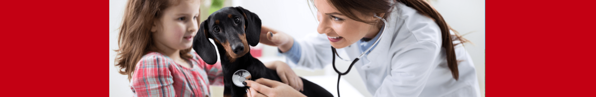 Trotzdem tritt die wirkung bei einem teil der tiere . Hundekastration.de - Aktuelle Infos rund um die Kastration