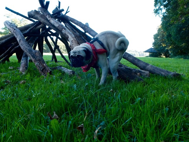 Find the perfect bastian bielendorfer stock photo. Bastian Bielendorfer Deutschlands Bekanntestes Lehrerkind Hunderunden