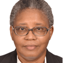 People Hungry Cities Partnership - Professional Ultra HD Nature Patterns | Free Download