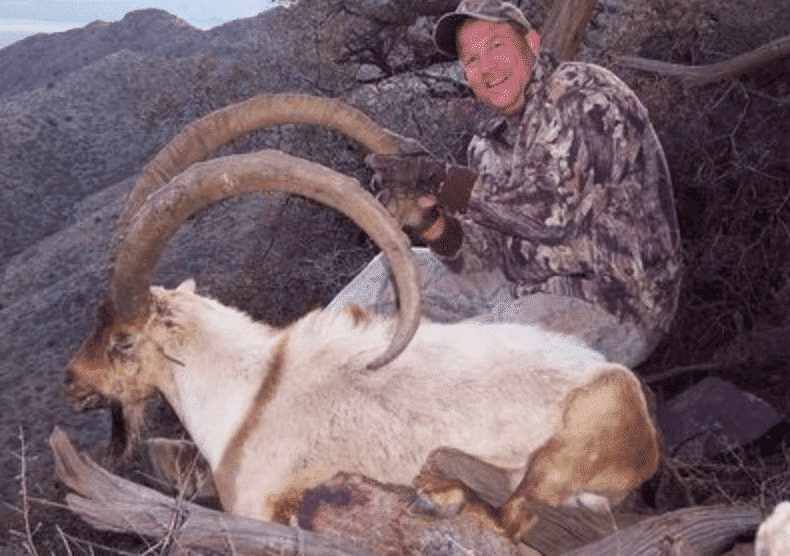 Ibex Hunt | Archery | Deming, NM