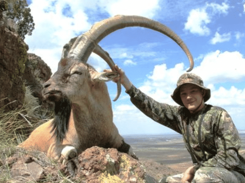 Ibex Hunt | Archery | Deming, NM