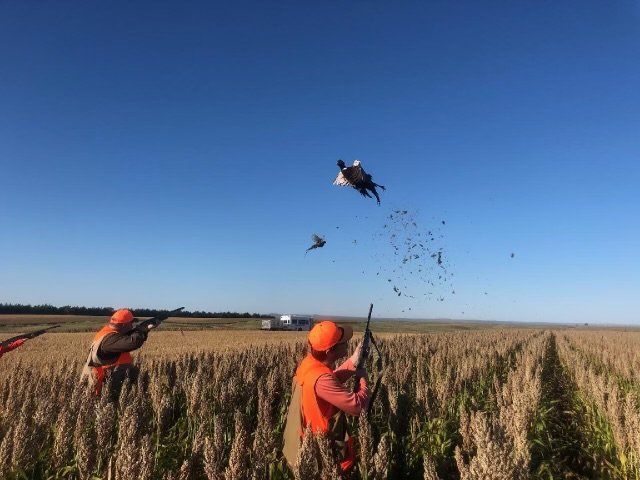 3 Day Upland Bird Hunt | Shotgun | Pierre, SD