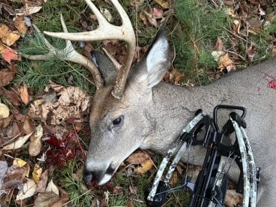 Deer Camp in Northwest Michigan | Full Season Access