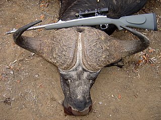 Huntin4biggins The Cape Buffalo Gun Rack