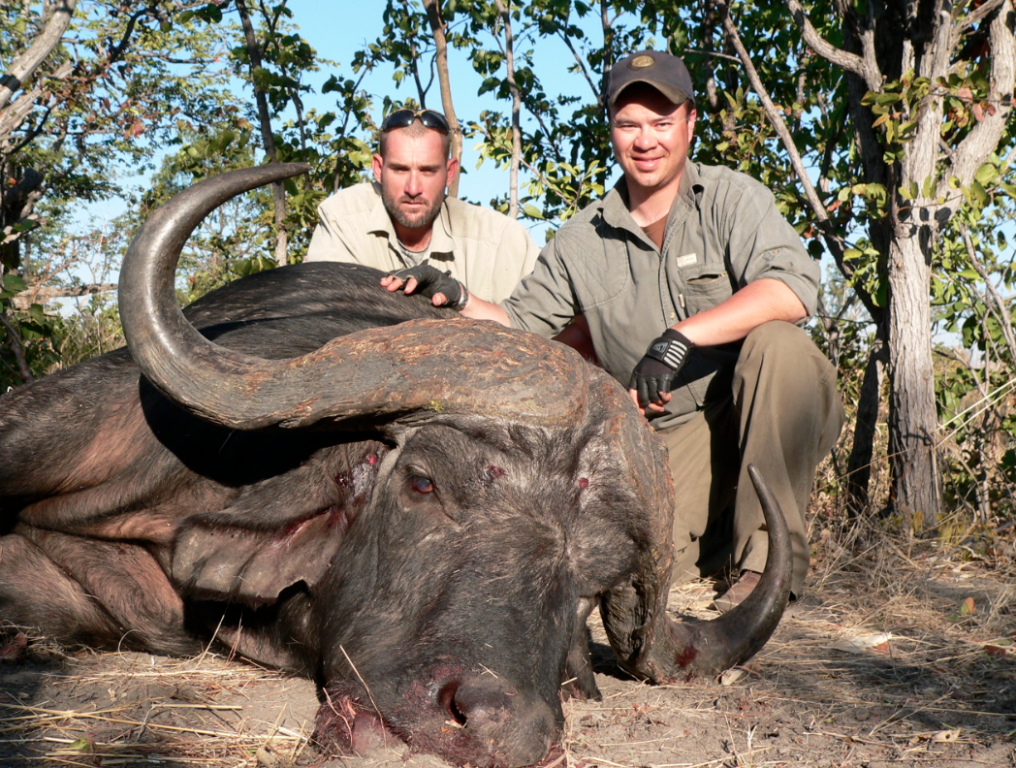Zimbabwe Elephant Cape Buffalo Hunts 88 Hunt Nation