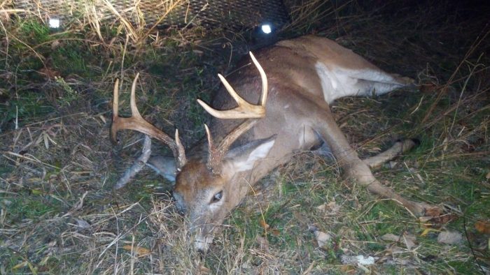 Deer whitetail wv hunts