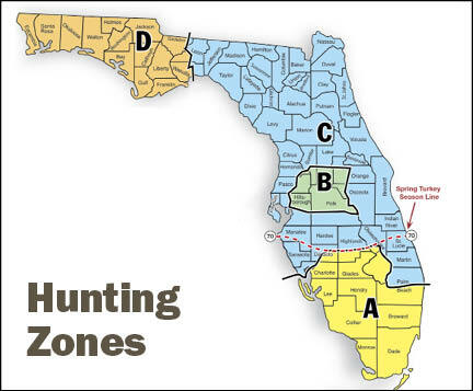 Florida Turkey Hunting What You Need To Know To Conquer The South Image 2 