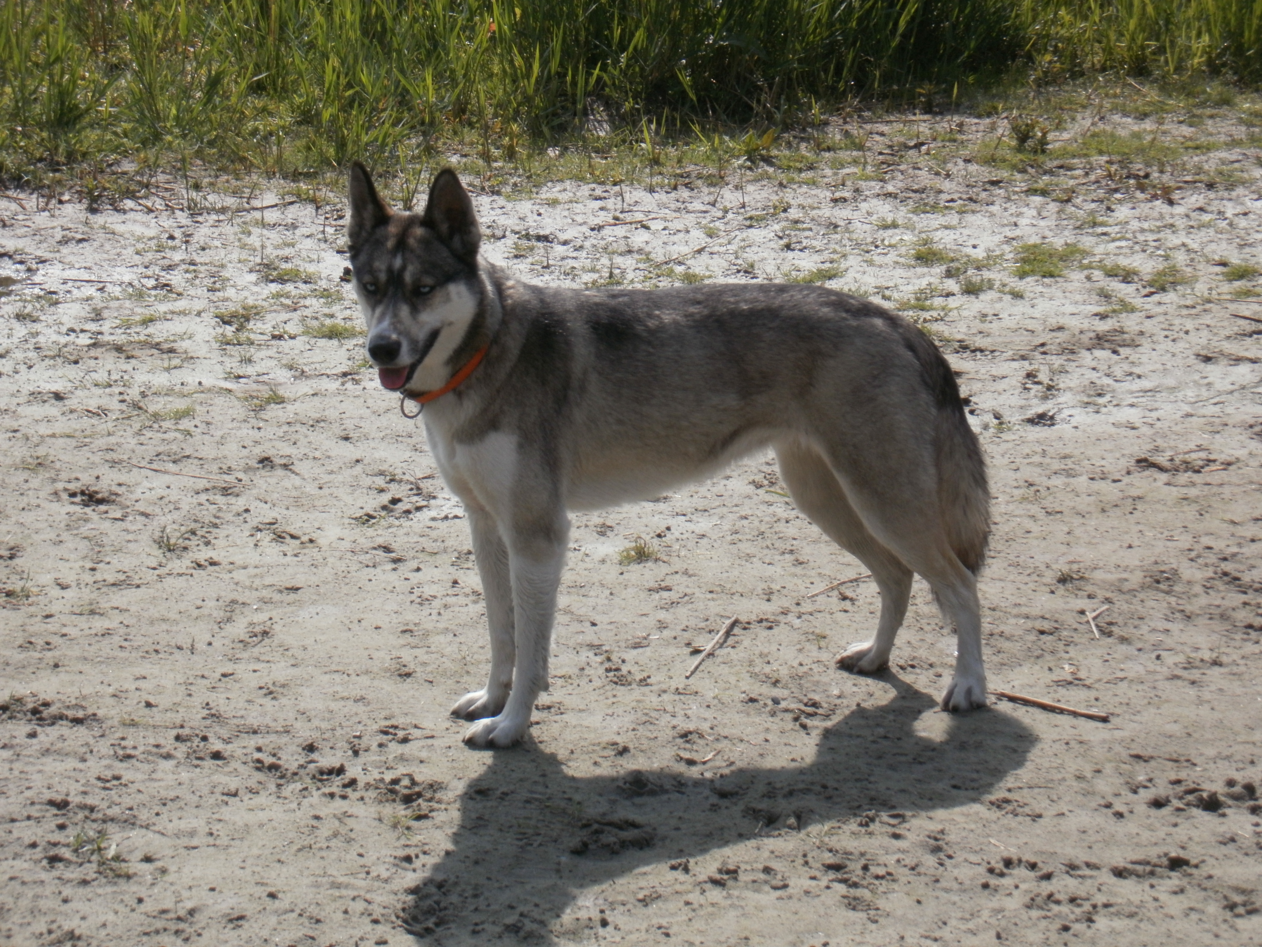 OLYMPUS DIGITAL CAMERA