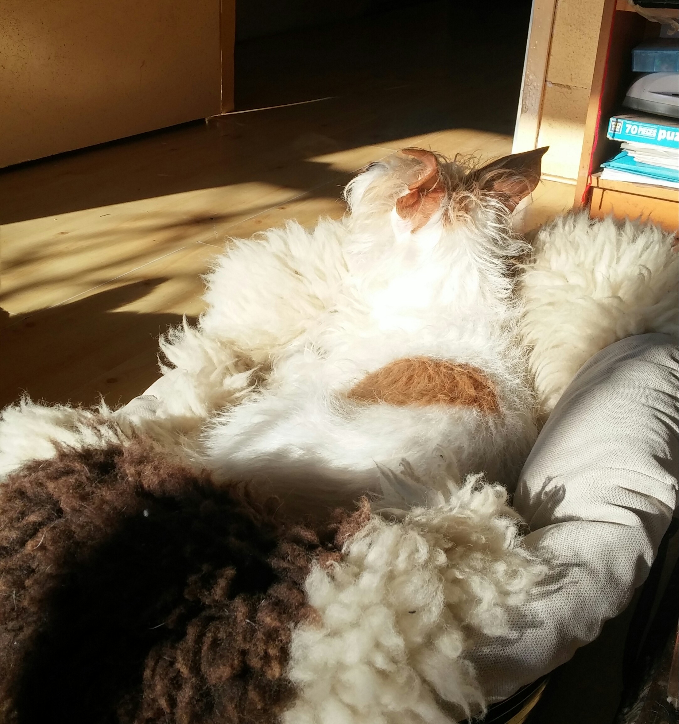 Website eigen mandje 2