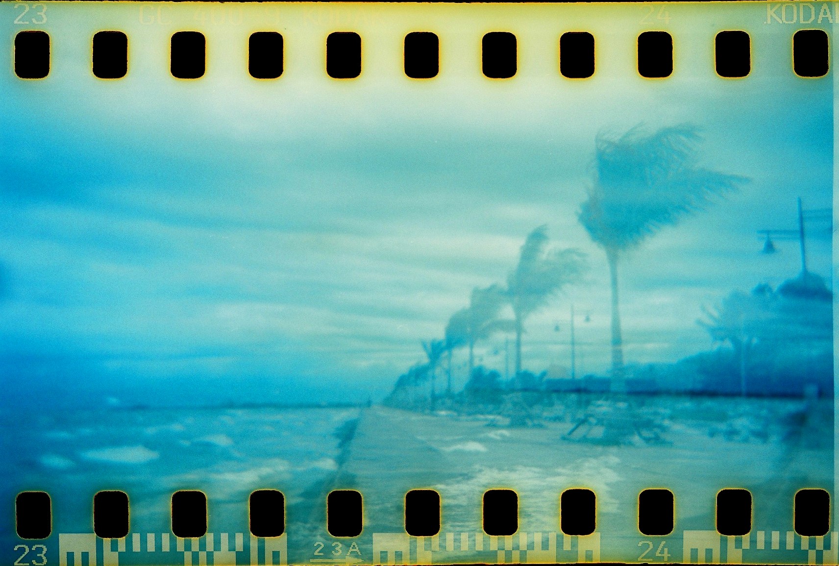 The Day After Tomorrow HUSHBOY