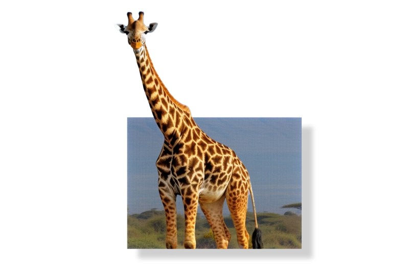 Outdoor-LED-Module-Display-Panel