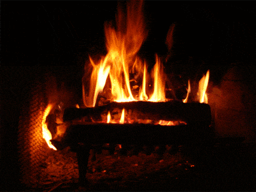 Today I D Like To Pay Your Attention To Wood Accent Walls Which Are Rather Easy To Install Yourself And Will Look Great Plank Walls Interior Decor