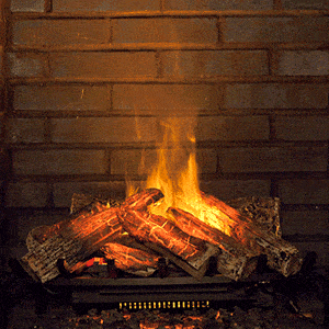 The Best Electric Fireplace Inserts To Stay Cozy This Winter