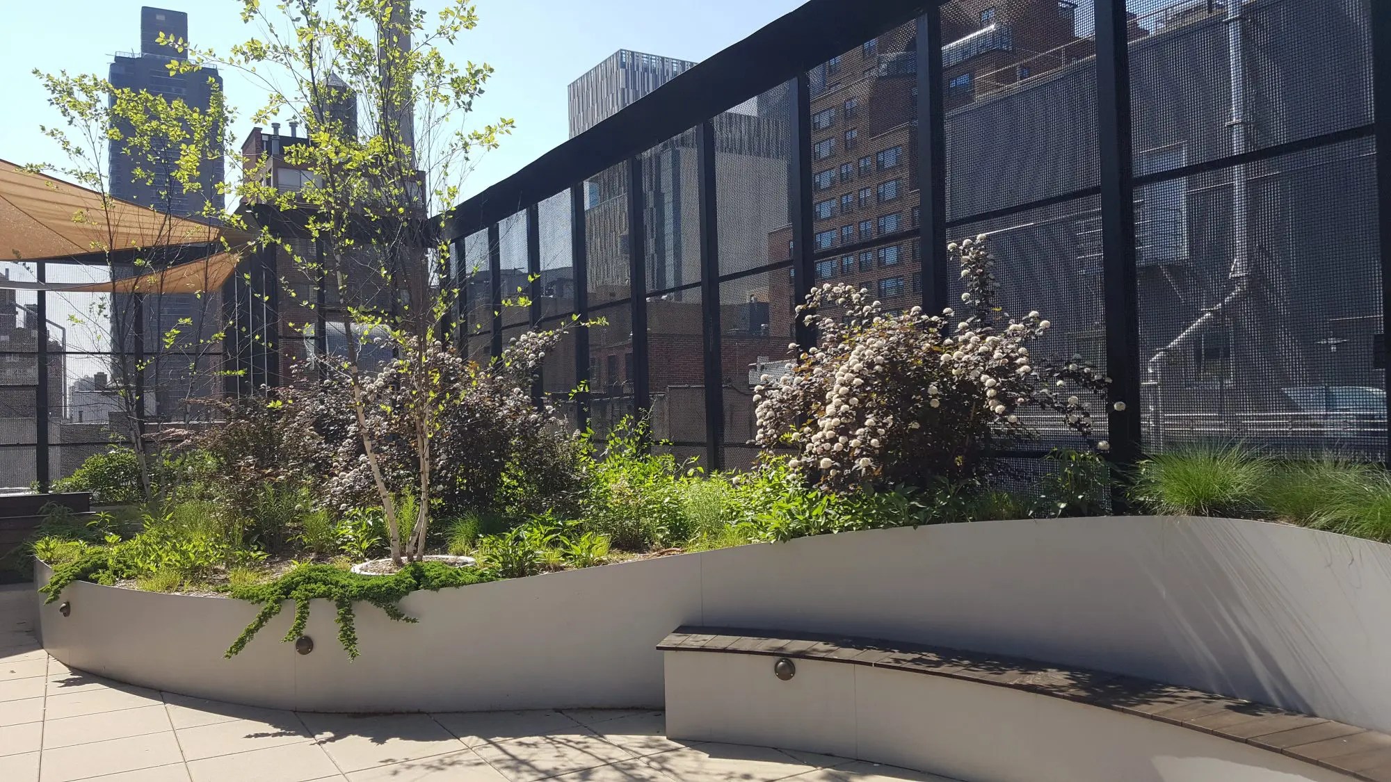 extensive green roof in manhattan
