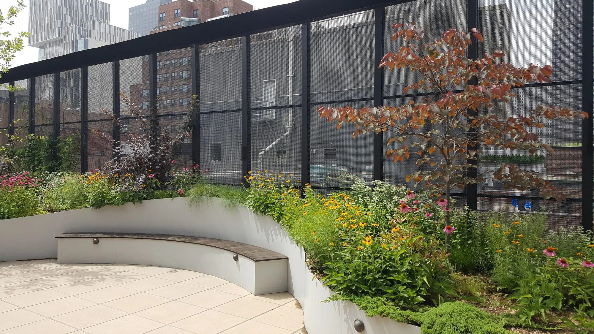 custom planter intensive green roof in NYC