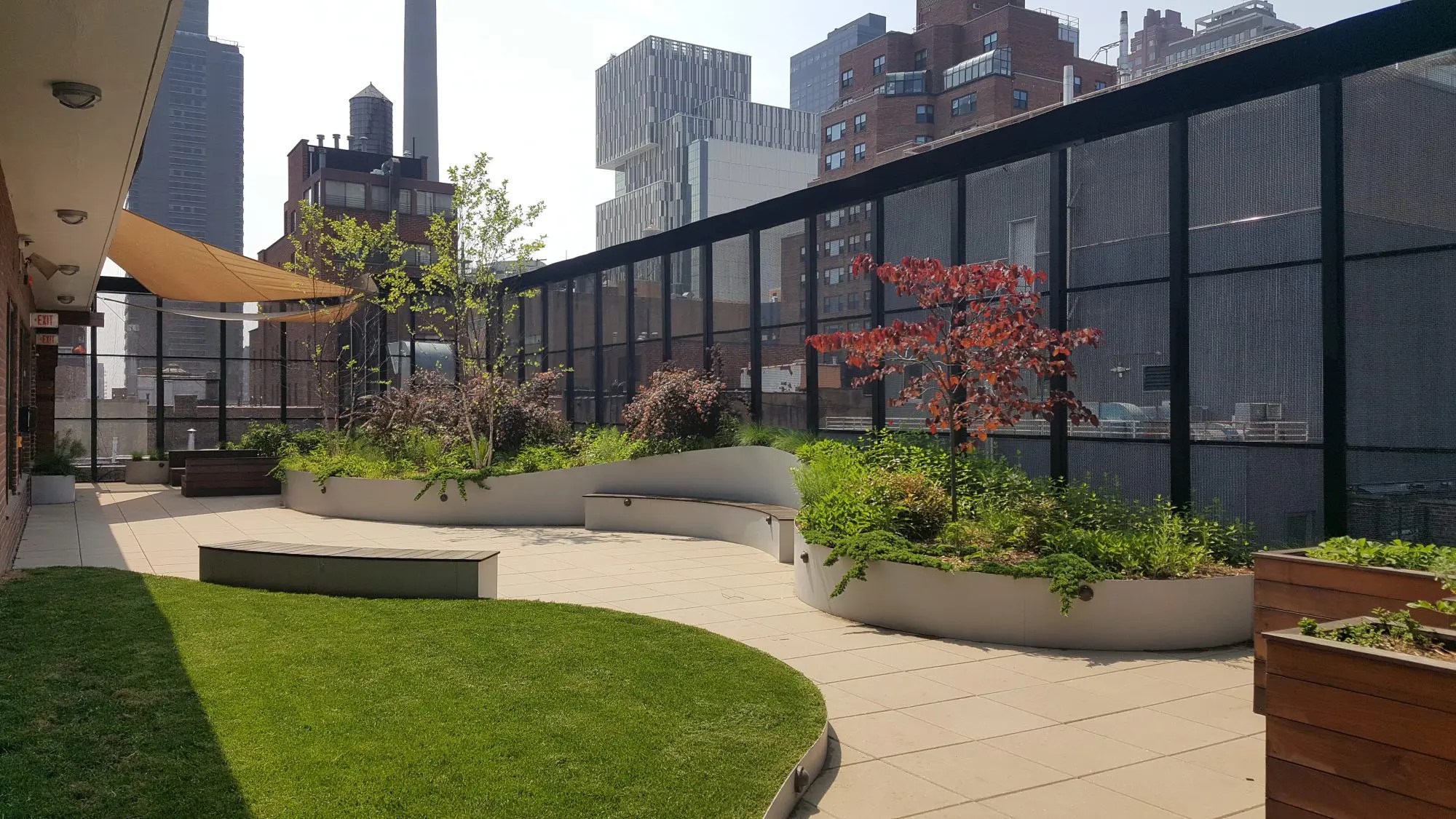 trees on green roof in manhattan