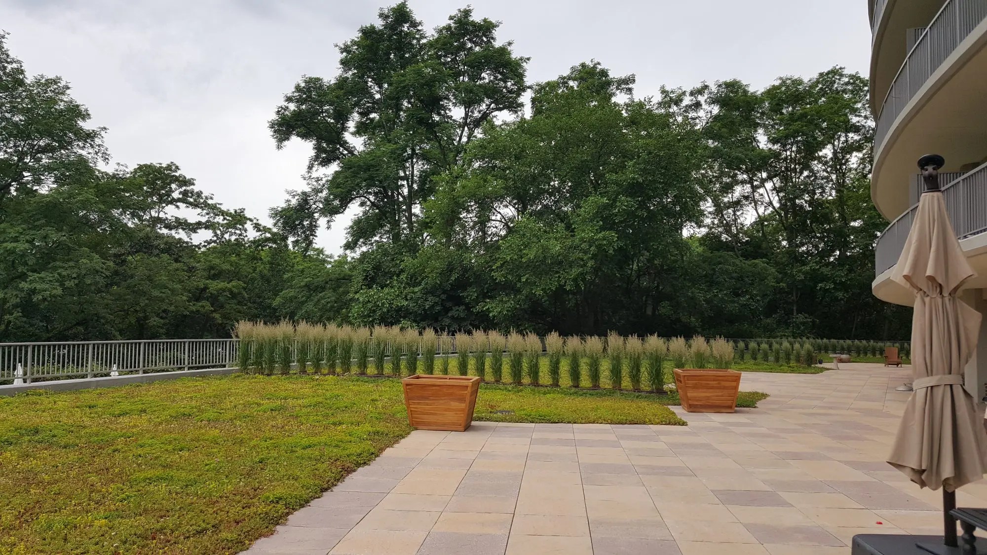 extensive green roof in the Bronx designed and installed by Highview Creations