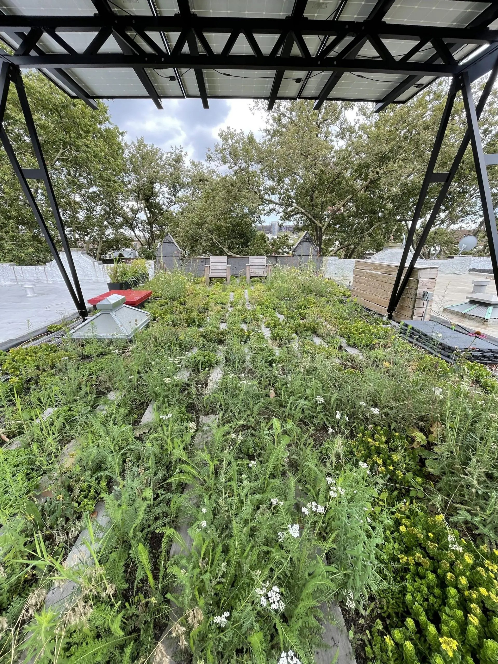 HighviewCreations_SolarGreenRoof_Brooklyn2