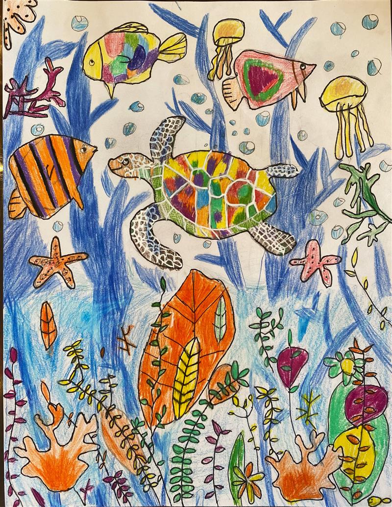 Whispers of the Rainbow Sea