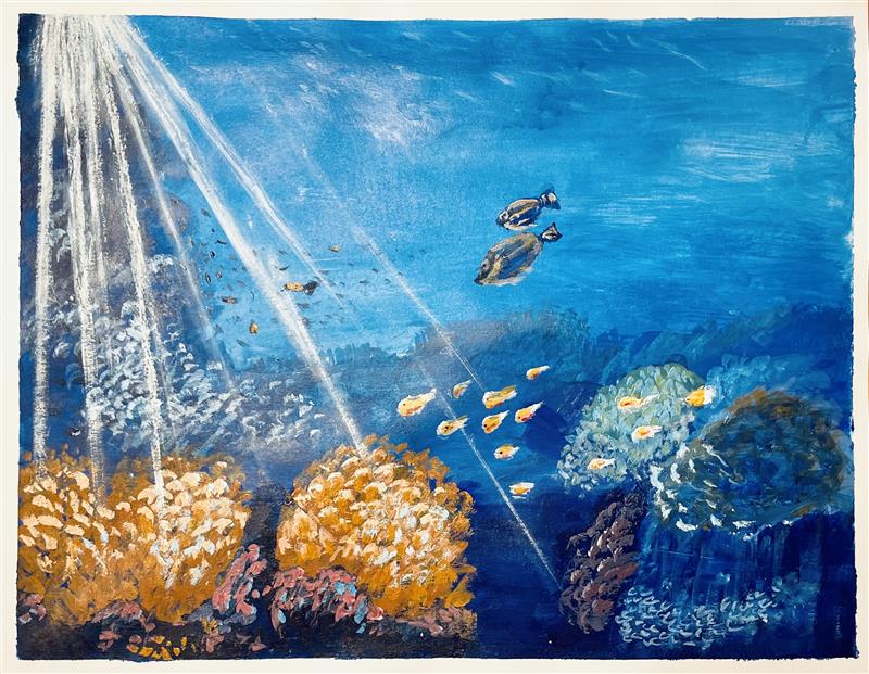 Ocean Life 光照海洋，生命共生
