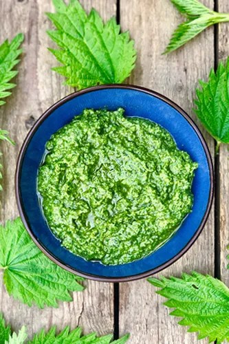 Brændenælde Pesto