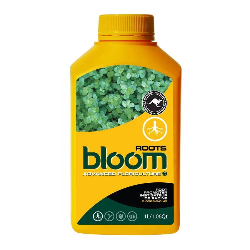 BLOOM ROOTS - Image 1