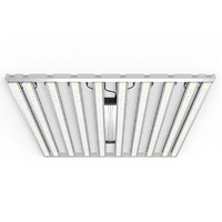 Grand Master LED (GML) Tarantula Tent Ultimate (5x5) 1000W