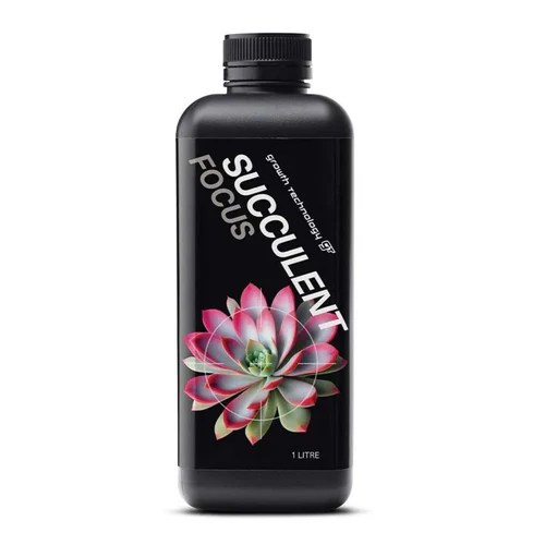 GT Succulent Focus - Image 1
