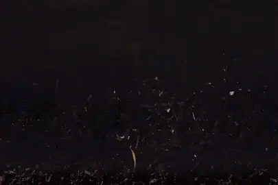 Experience a Day in the Life of a Shanghai Resident in This Stunning Hyperlapse