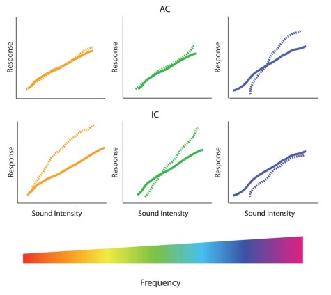 FrequencySelectivity
