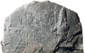 The Only Contemporary Illustration of The Tower of Babel